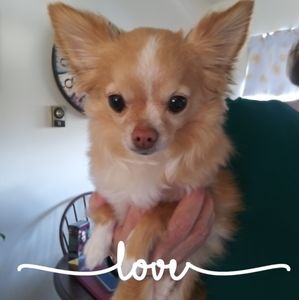 Meet your Posher, Joni